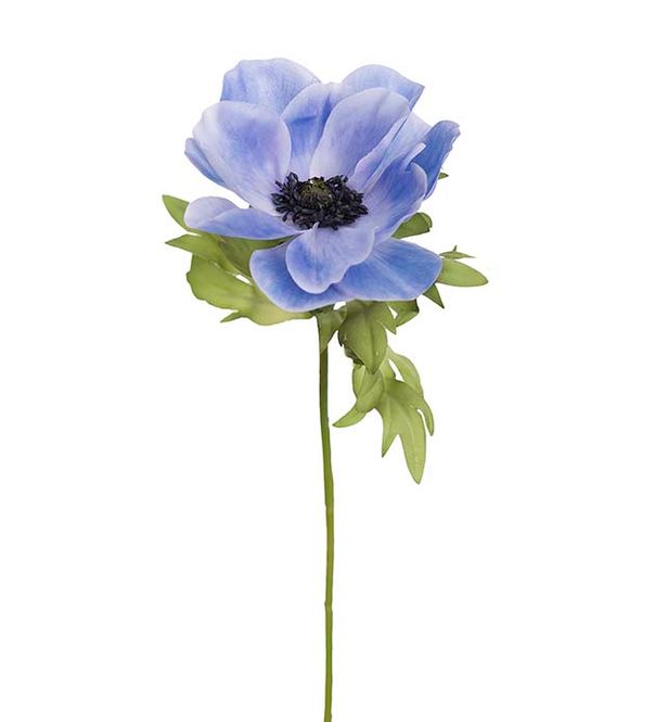 Hovedbilde Anemone 43 cm 