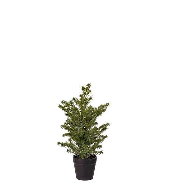 Hovedbilde Gran, 35 cm