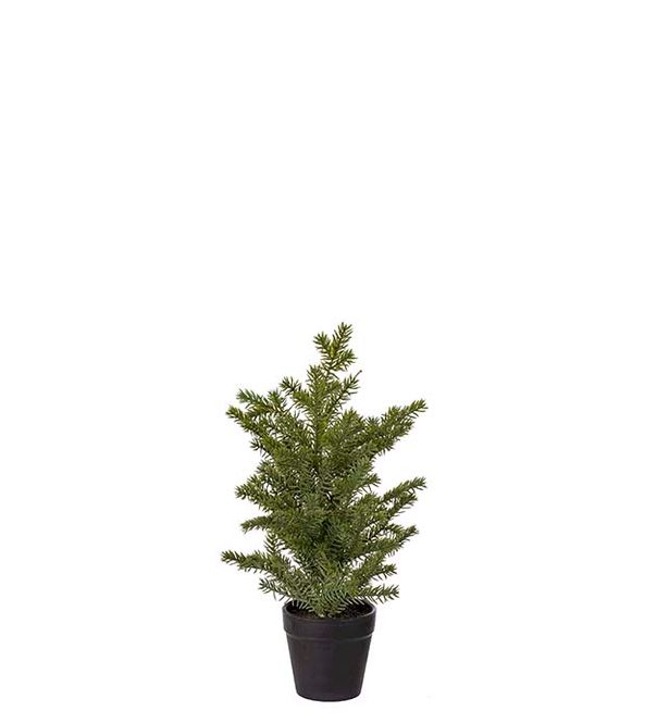 Hovedbilde Gran, 35 cm
