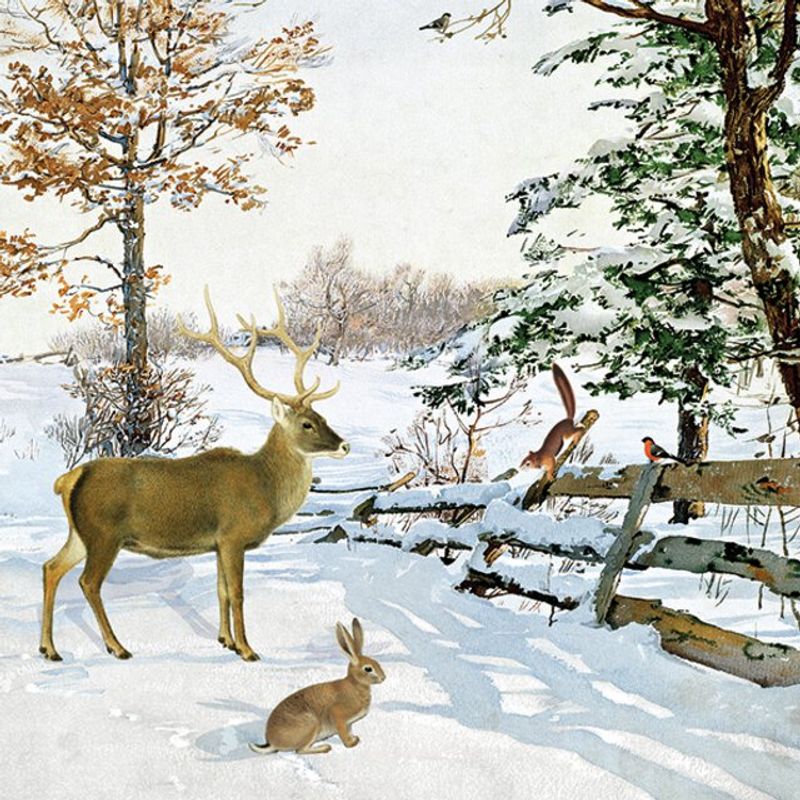 Servietter Lunsj Winter evening talk