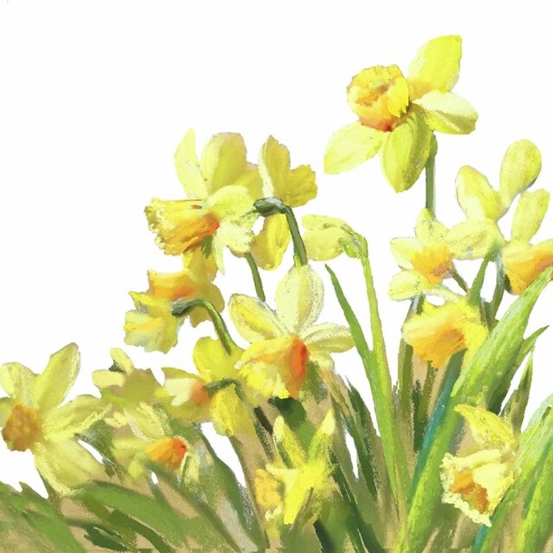 Servietter Lunsj Golden Daffodils 20 pk