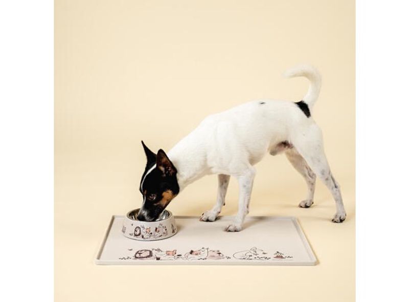 Mummi Pets Matskål S - Beige