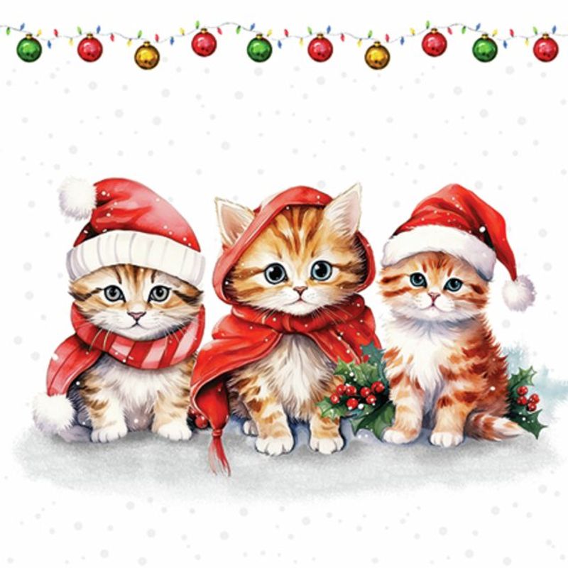 Servietter Kaffe Funny cute kittens