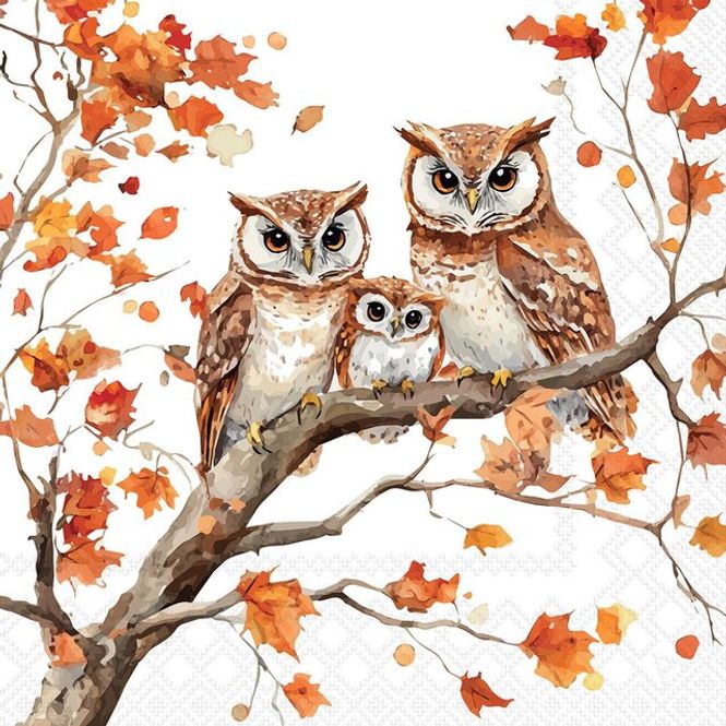Hovedbilde Servietter Lunsj Family of owls
