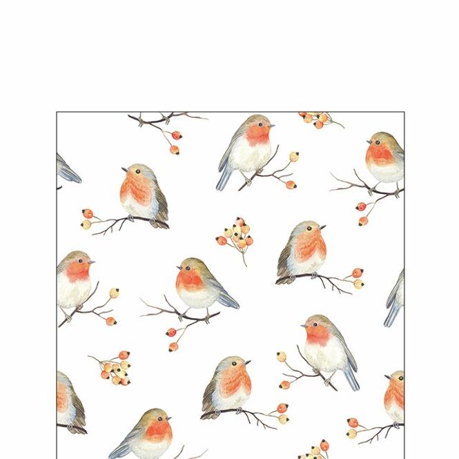 Hovedbilde Servietter Kaffe Robin Family