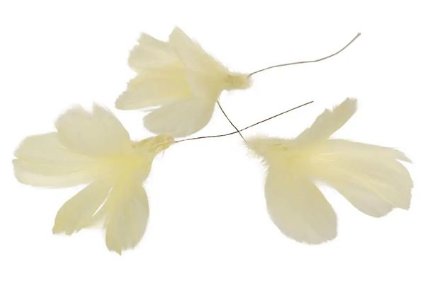 Hovedbilde Gule fjær formet som blomst 12 pk
