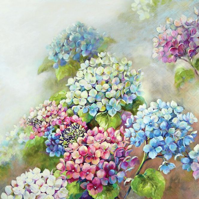 Hovedbilde Servietter Lunsj Hydrangea shades