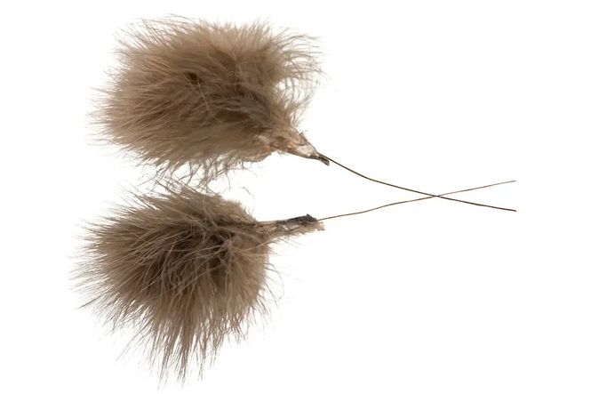 Hovedbilde Brune fjær 12 pk. 