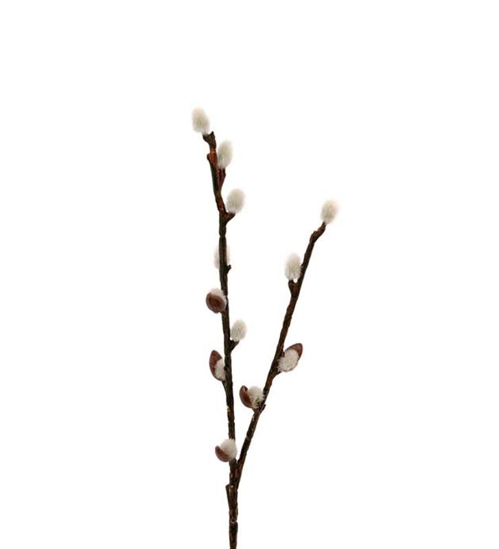 Vide/gåsunger 36 cm 