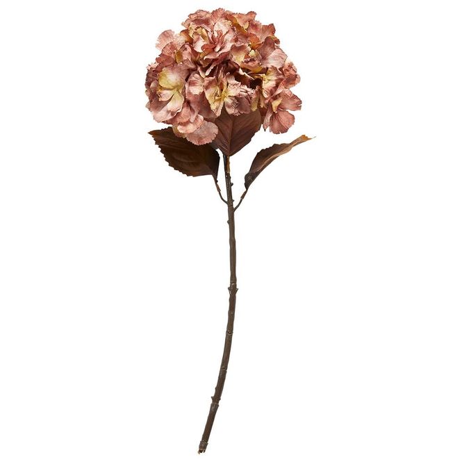 Hovedbilde Hortensia stilk 62 cm 